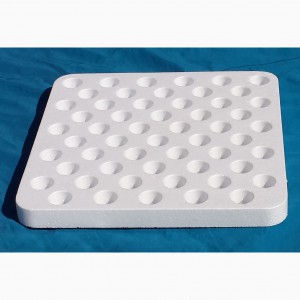 Aquaponic Grow Raft